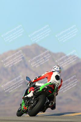 media/Jan-13-2024-SoCal Trackdays (Sat) [[9c032fe5aa]]/Turn 9 Backside (110pm)/